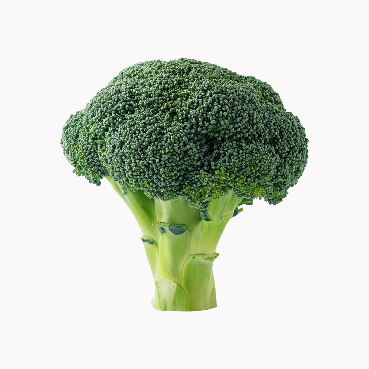 Brokkoli