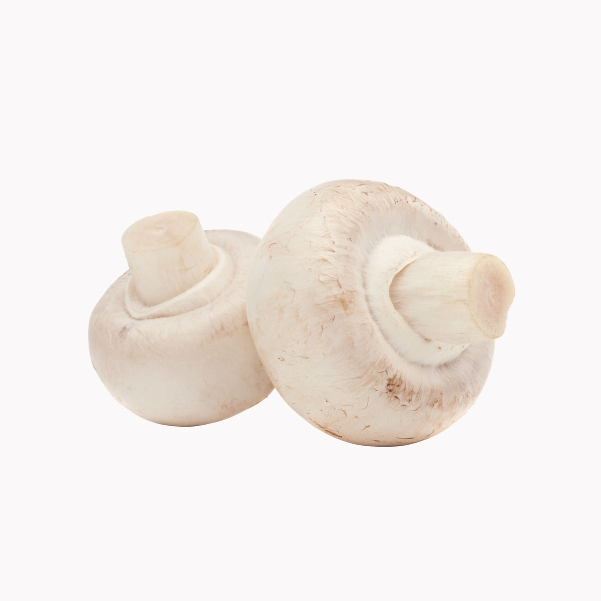 Champignons Riese